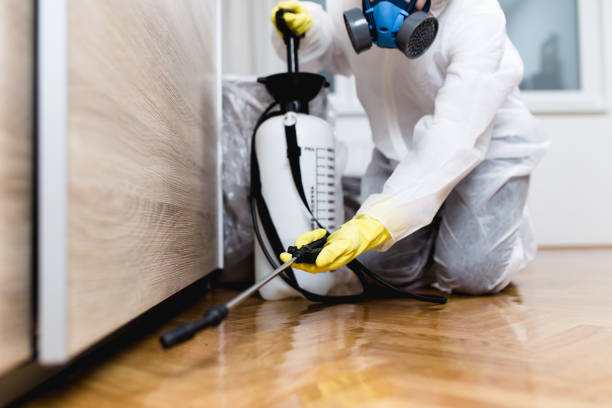 Best Rat Extermination Near Me  in Chesapeake, VA