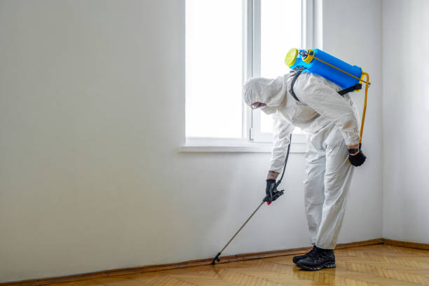 Best Mosquito Control Services  in Chesapeake, VA