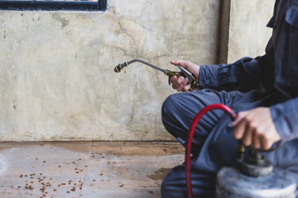 Best Pest Prevention Services  in Chesapeake, VA
